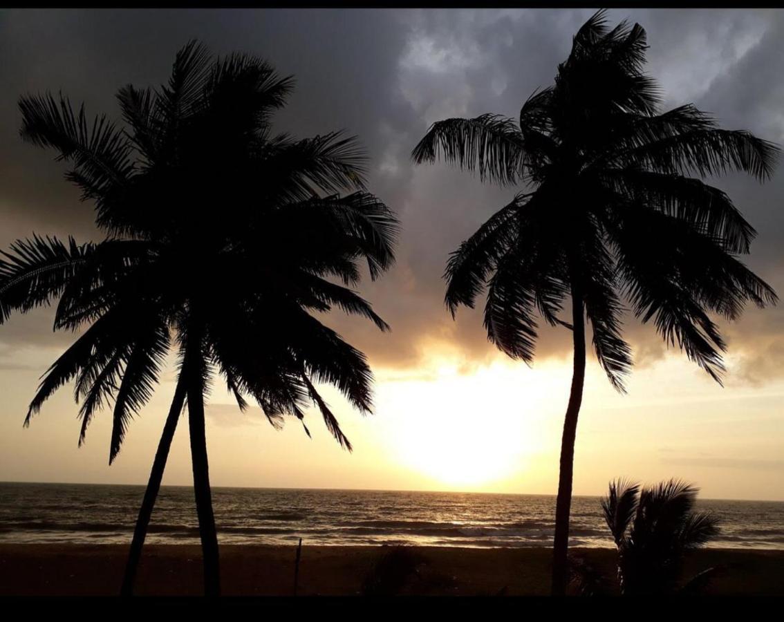 Hotel Silver Sands Negombo Eksteriør billede